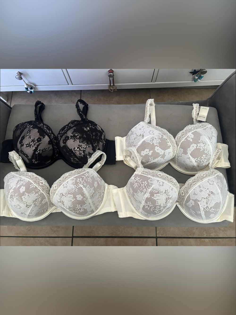 Cacique Bold Lace Plunge Underwire Bras 42B